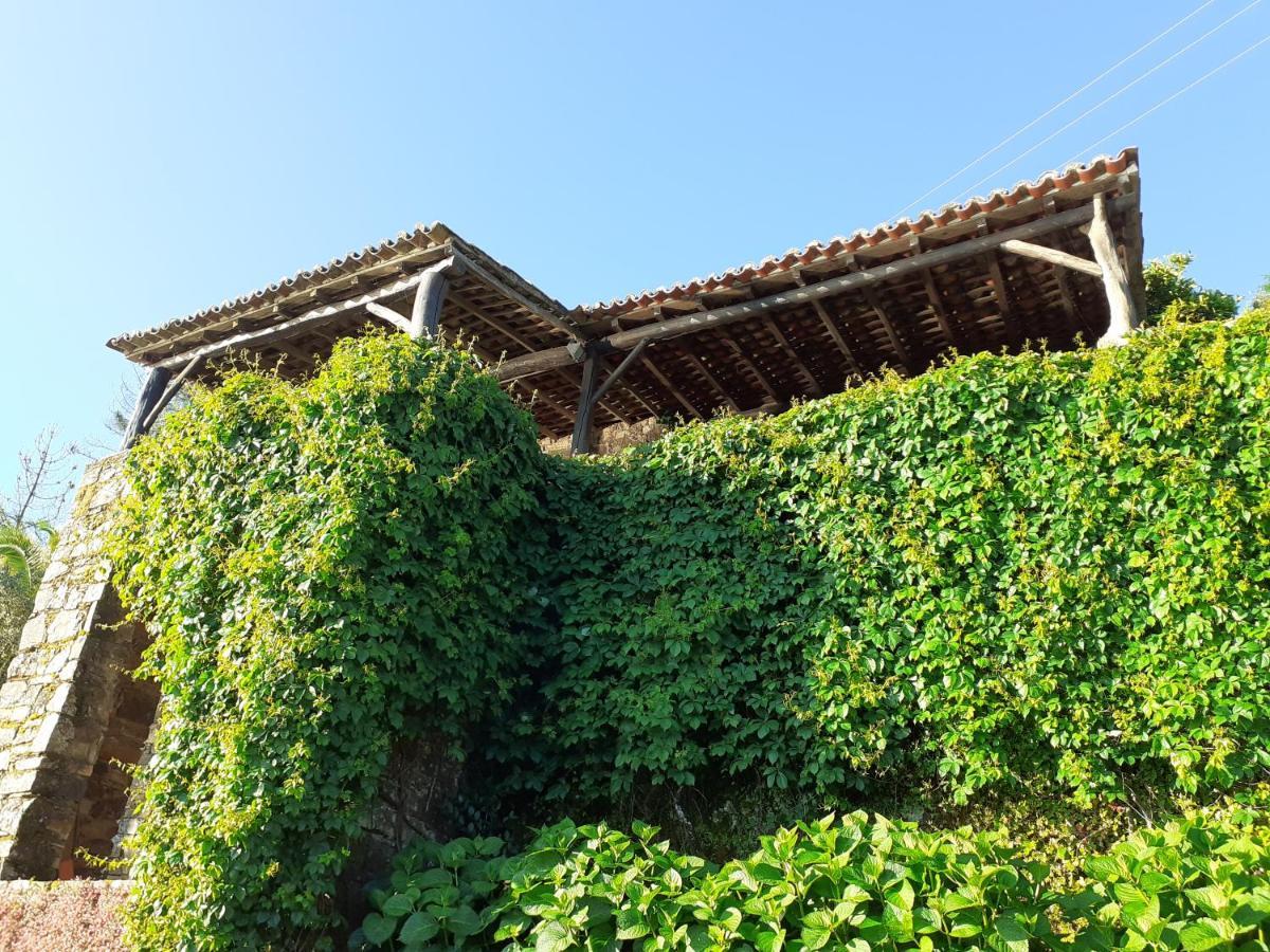 הוילה Ferreira do Zêzere Casa Do Tojo E Rosmaninho מראה חיצוני תמונה
