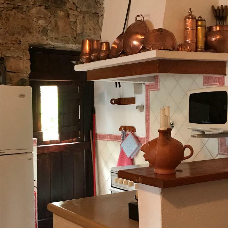 הוילה Ferreira do Zêzere Casa Do Tojo E Rosmaninho מראה חיצוני תמונה